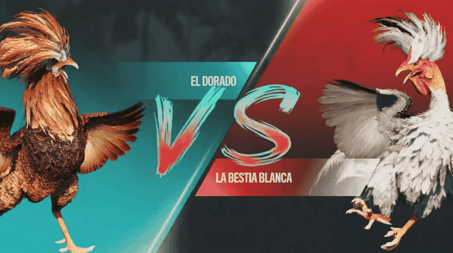 oky777 Slots Ao Vivo e Apostas Brasileiras